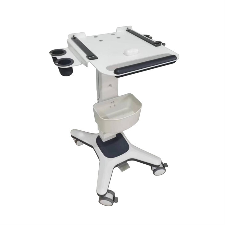 L3 – B-ultrasound Trolley
